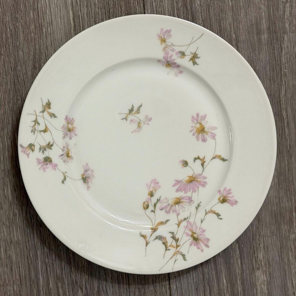 Antique L. J. Pouyat Limoges Dessert Plate (18911932)